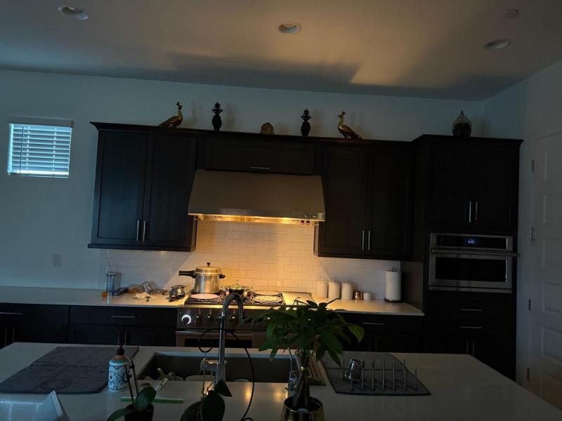 Photo #12