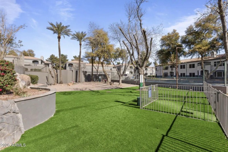 Astro Turf & Mature Trees