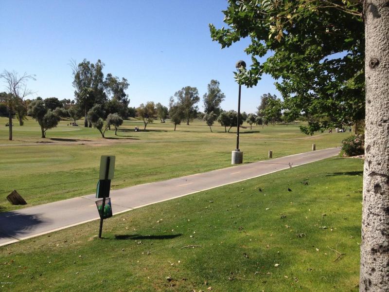 Photo #13