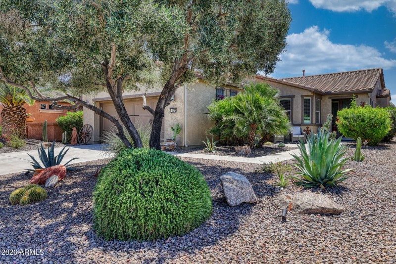 Mature Landscaping