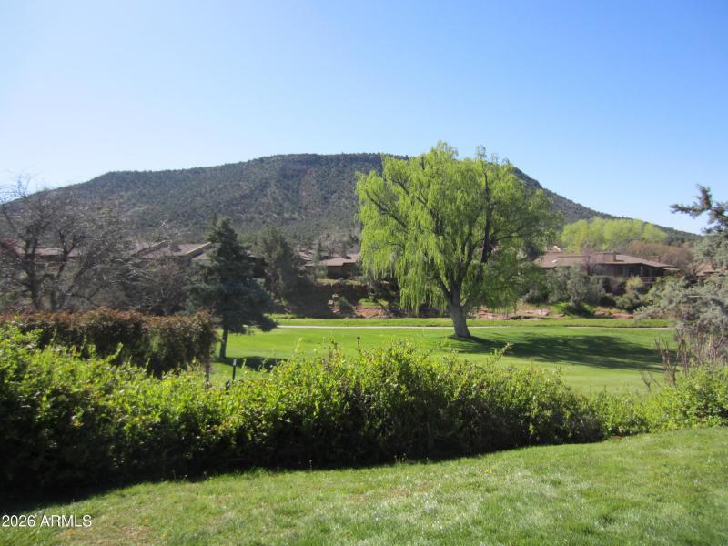 Photo #33