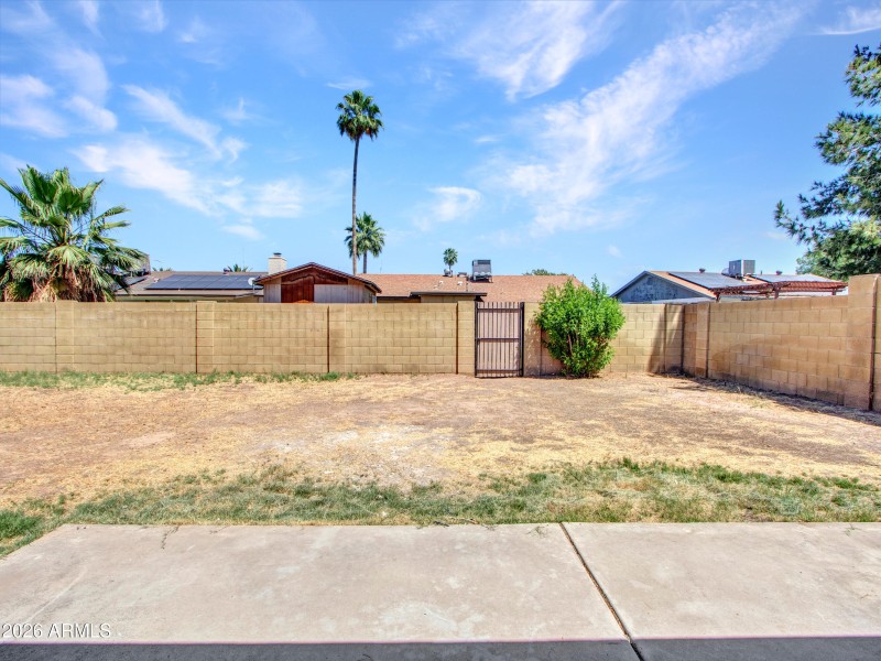 11-Backyard-(1)