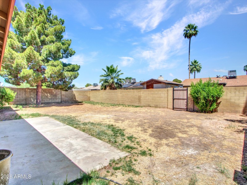 11-Backyard-(3)