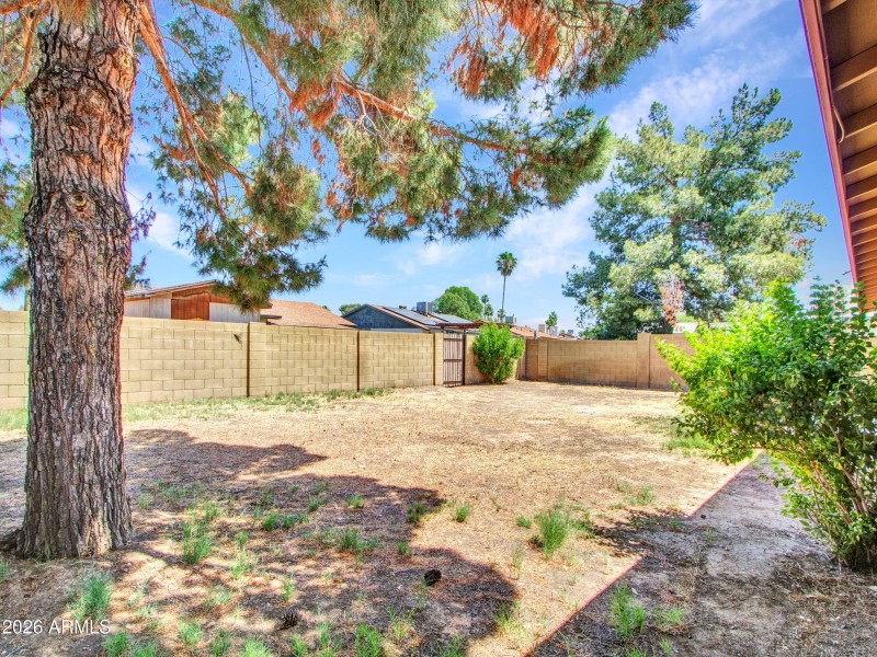 11-Backyard-(7)