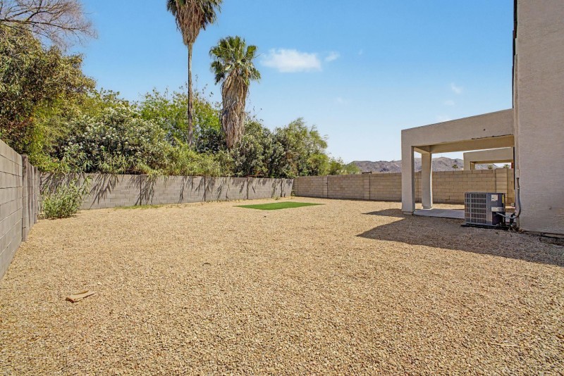 Backyard