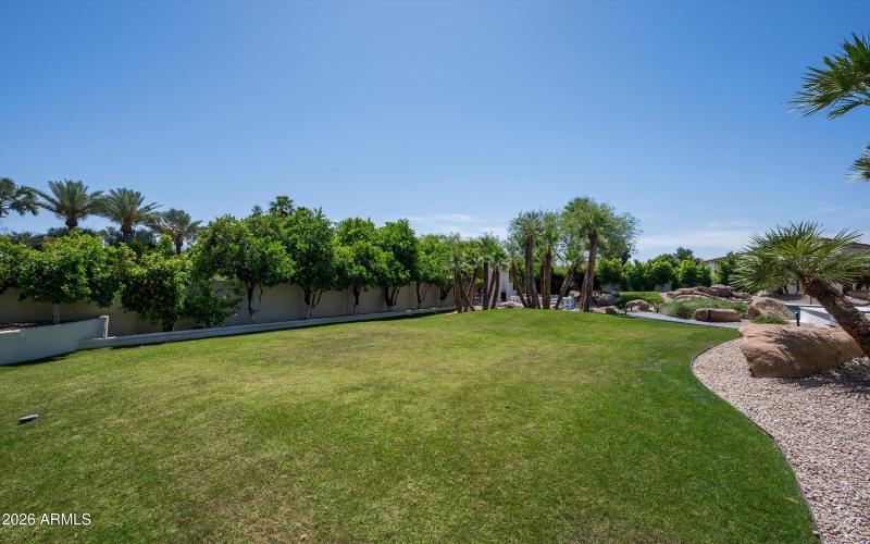 Backyard Oasis