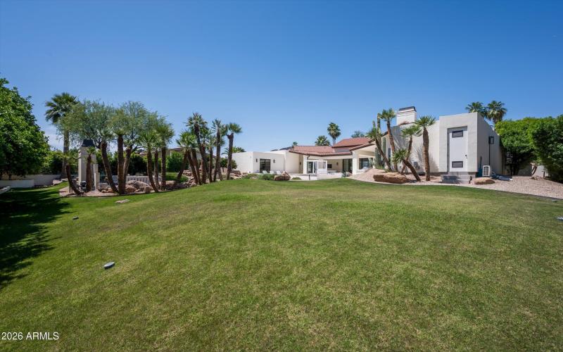 Backyard Oasis
