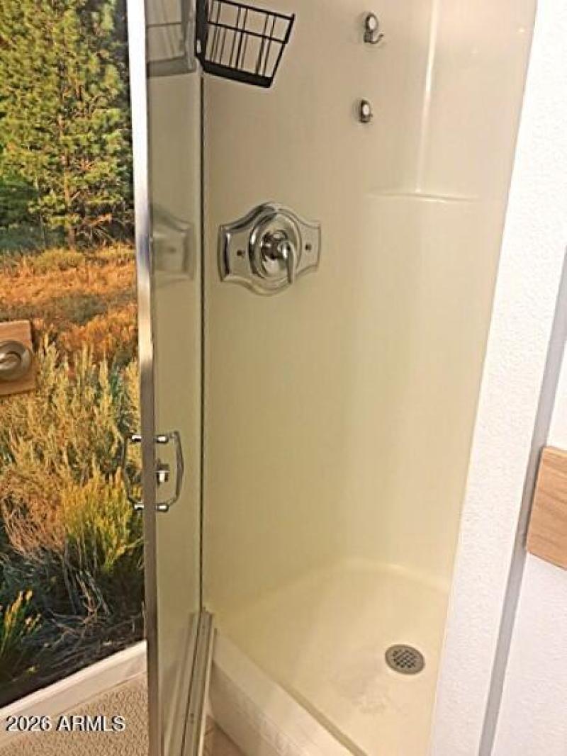 Master bath shower