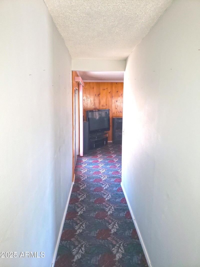 Photo #38