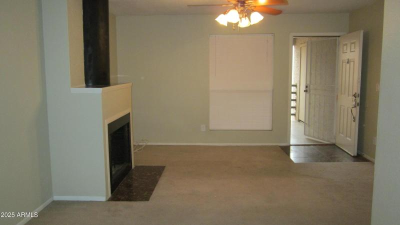 Photo #12