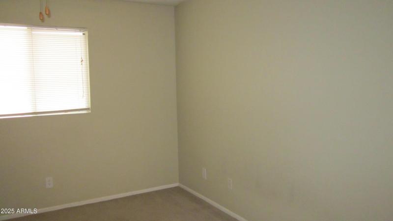 Photo #17