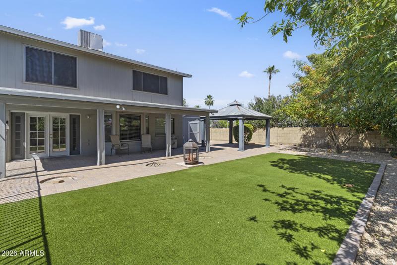 Backyard