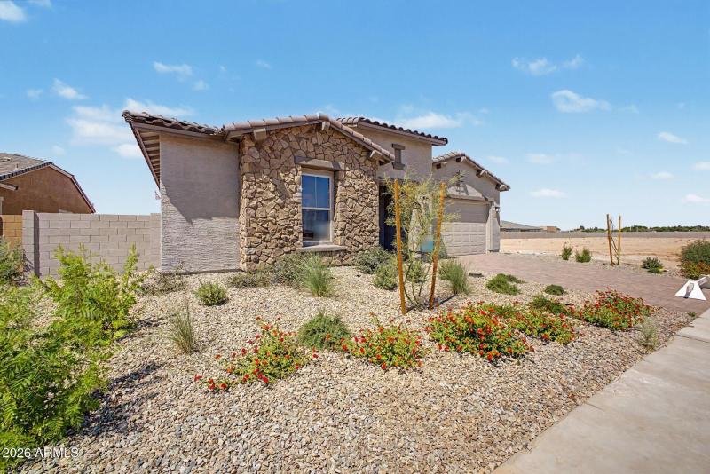 02 - Ocotillo
