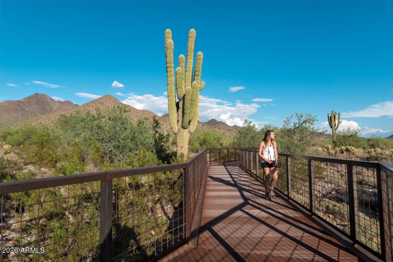 McDowell Mountain Trailhead