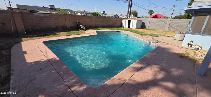 DIVE IN!