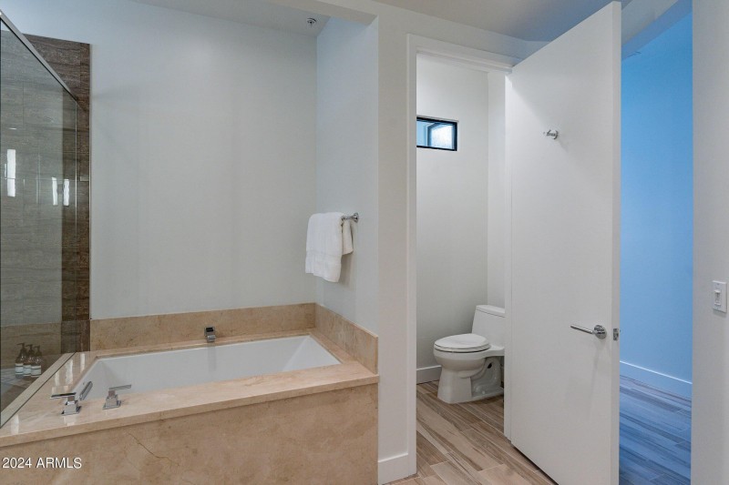 Master Toilet Room