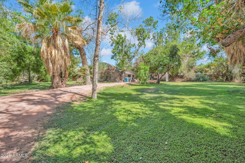 Central Phoenix Opportunity