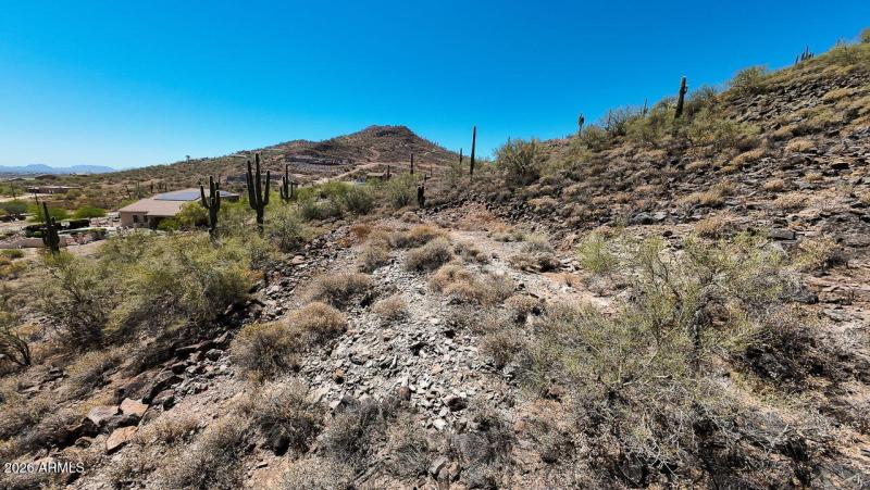 25-web-or-mls-37820 N 31st Ave C Phoenix