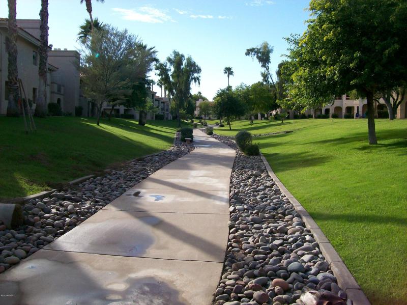 Photo #6