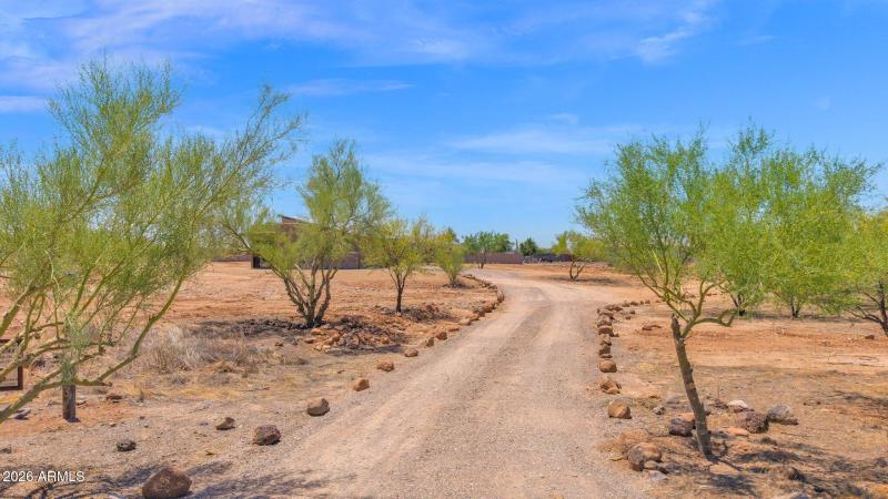 Tree Lined Driveway