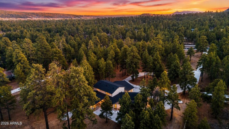 1 Drone Twilight