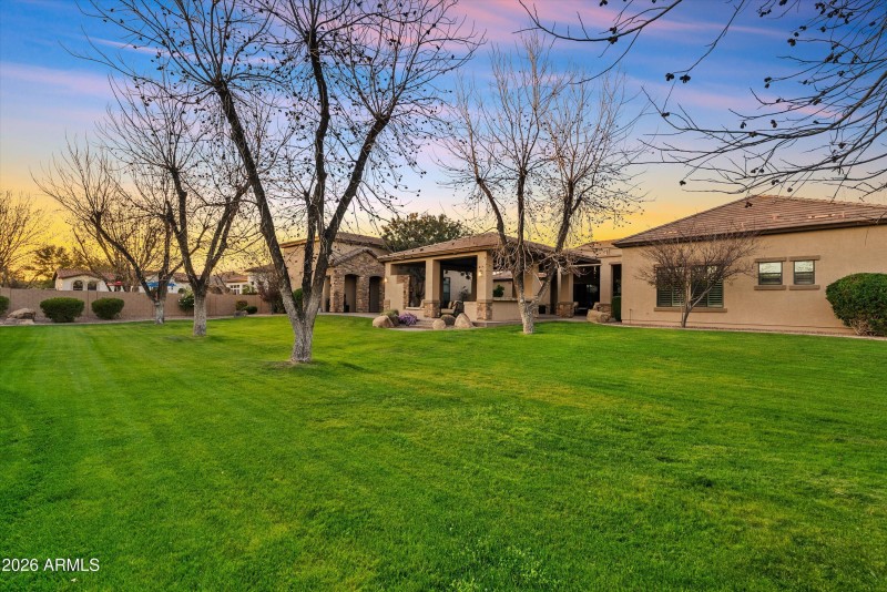 Backyard Twilight