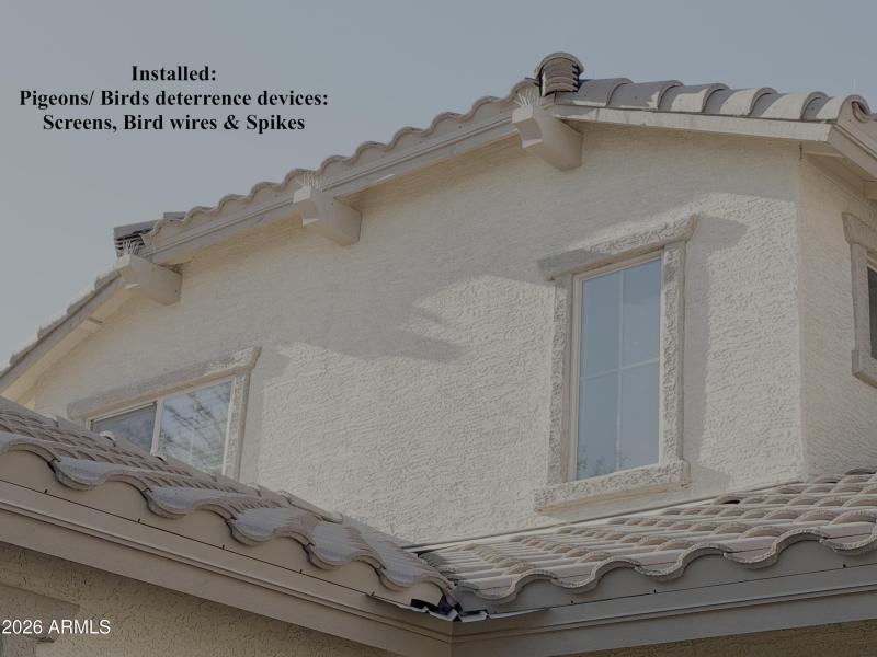 Pigeon Spikes