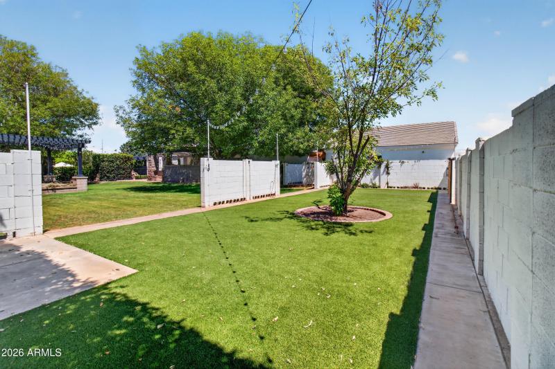 Backyard 6
