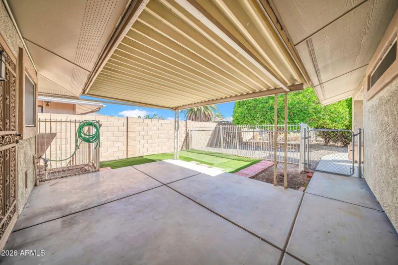 Backyard/Patio