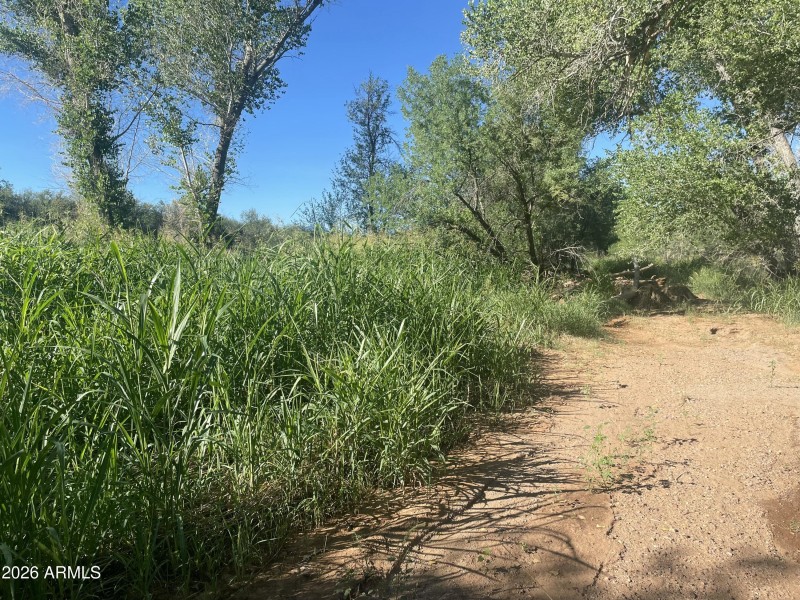 61