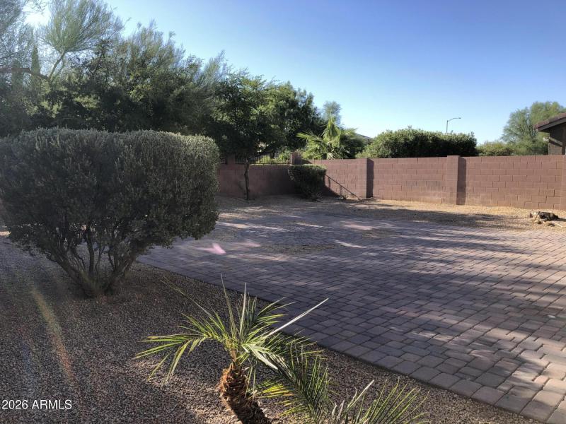 Backyard2