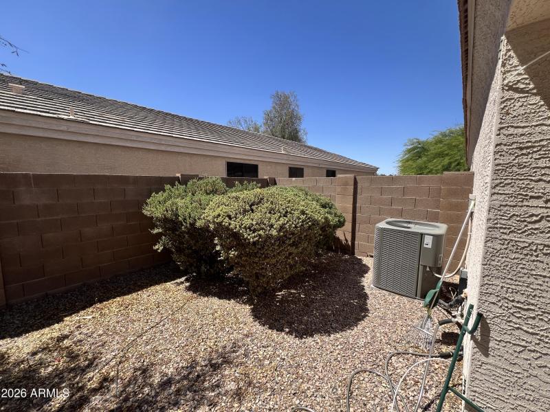 BACKYARD 3