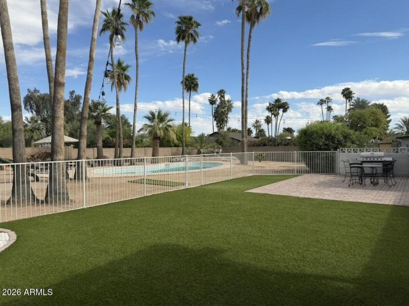 15b_Backyard