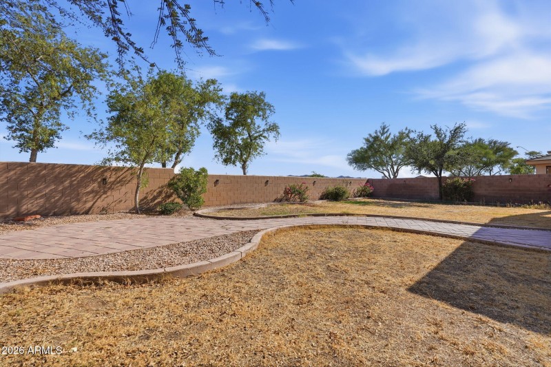 Backyard