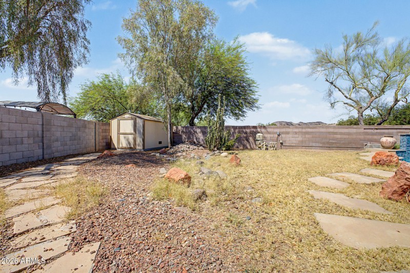 Back Yard