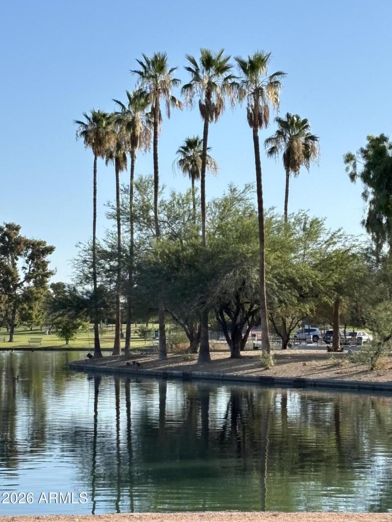 Park lake