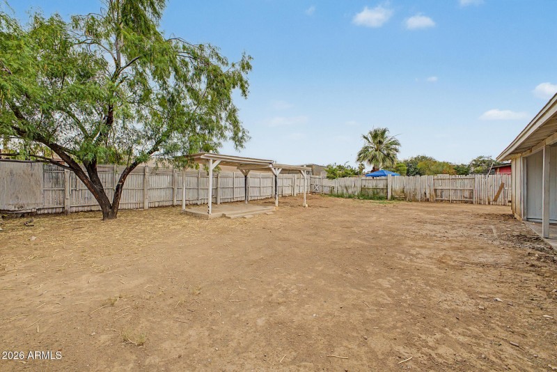 Large Backyard w: Mature Tree