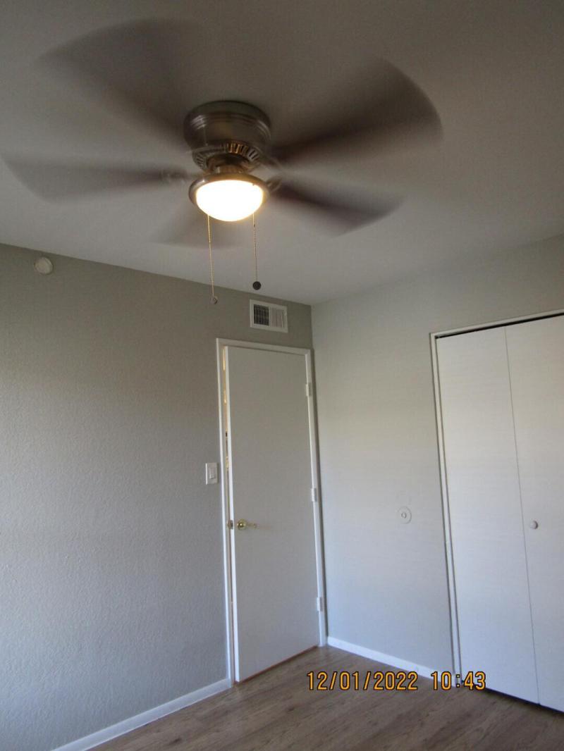 Photo #5