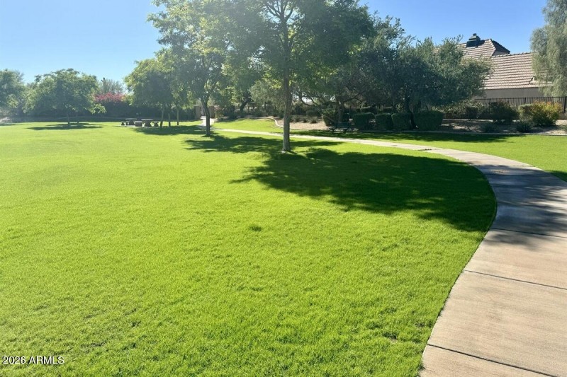 Steps To The Park