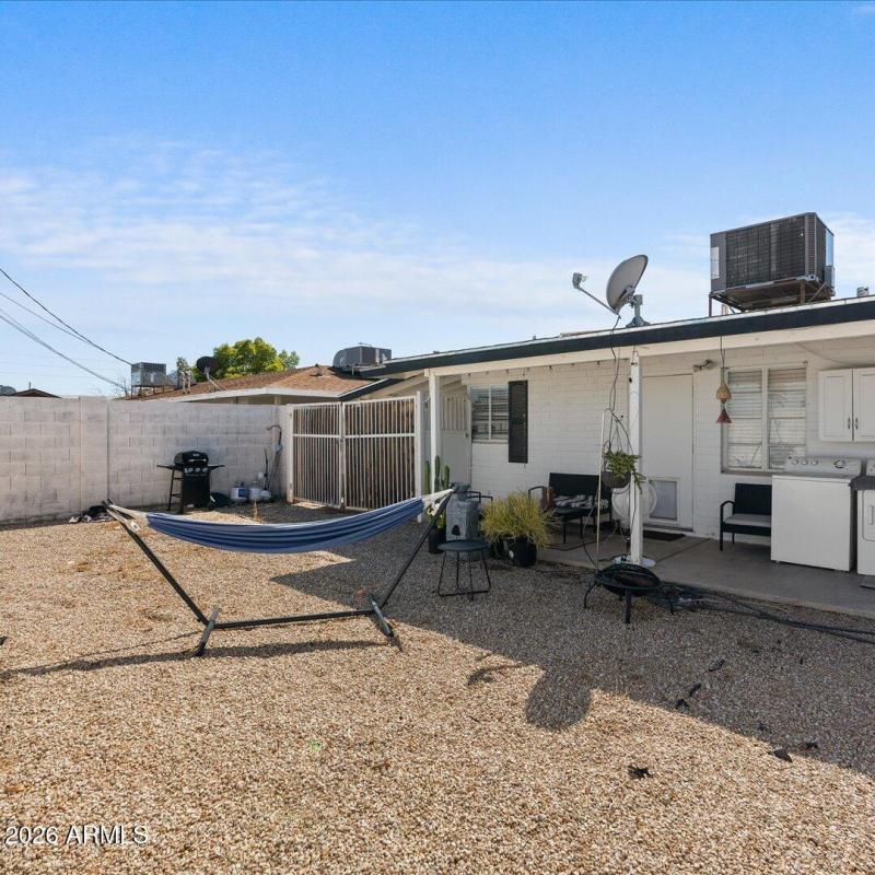 Backyard 449