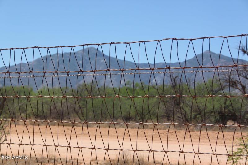 IMG_1156