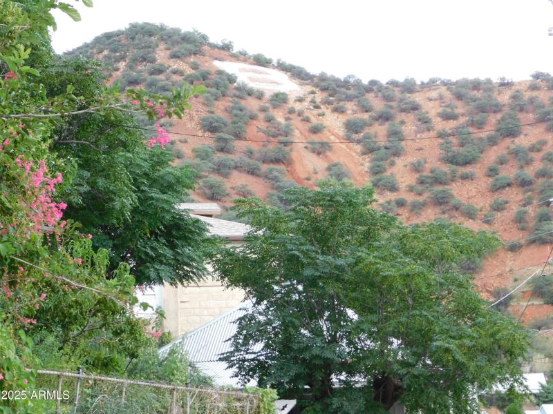 DSCN0221