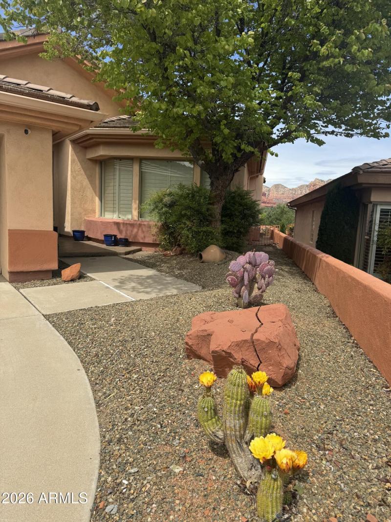 225 E Bighorn Court