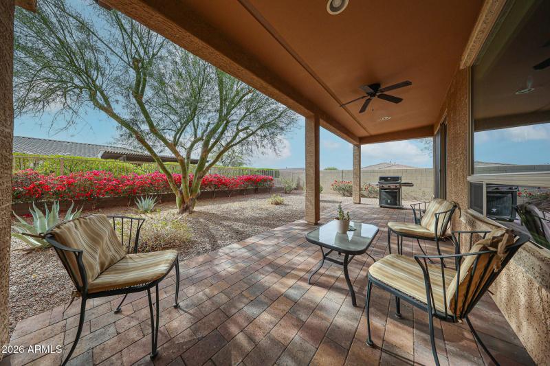 Beautiful Backyard