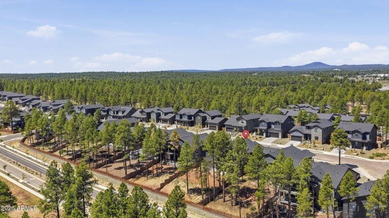 44-Aerial Pinned