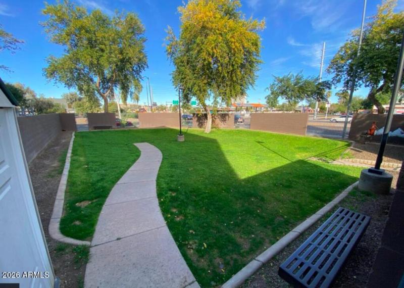 DOG PARK