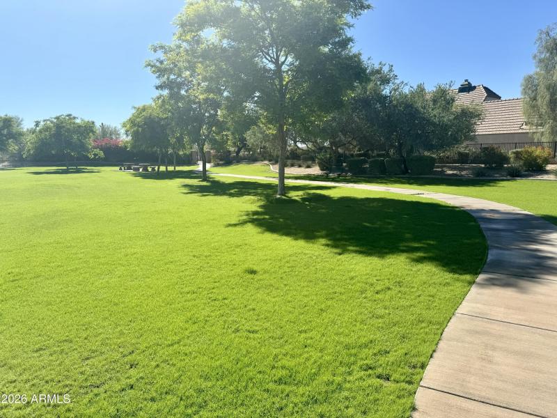 Walk to the N'hood Park