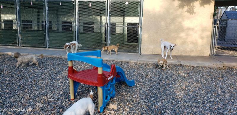 output-image1637357007439