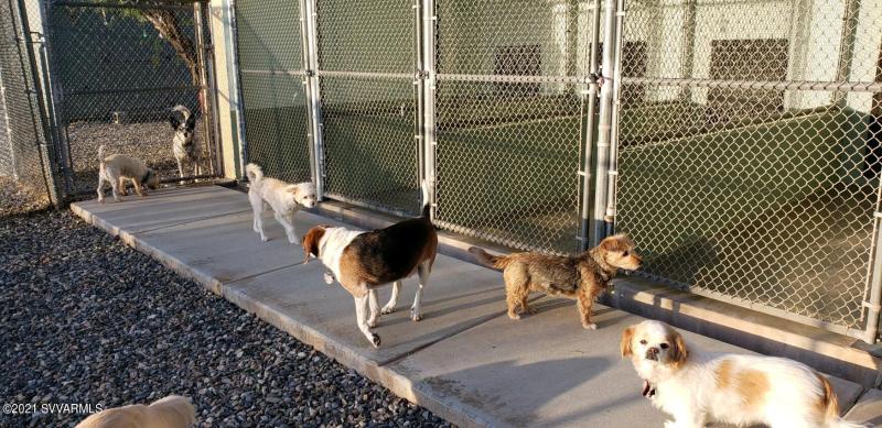 output-image1637356847495