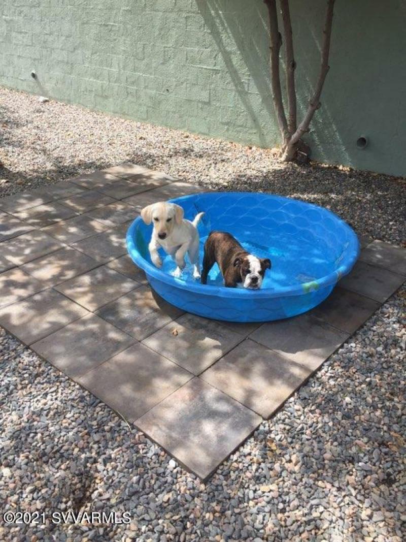 output-image1637356770771